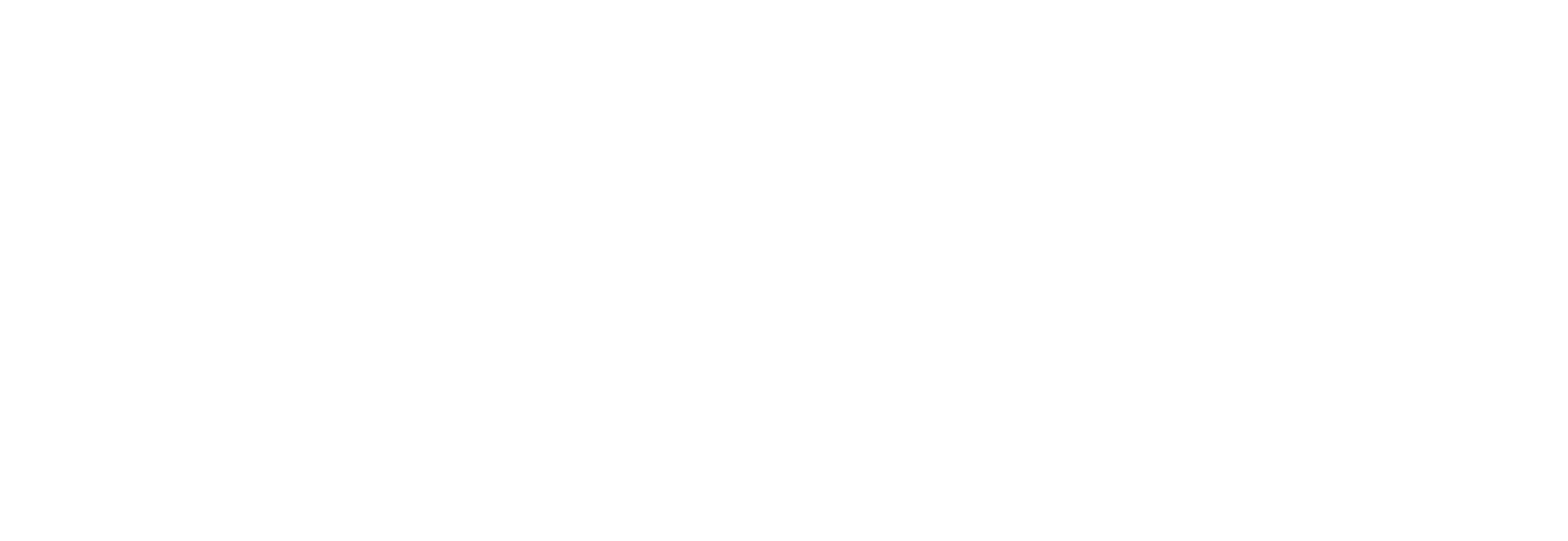NewFortress